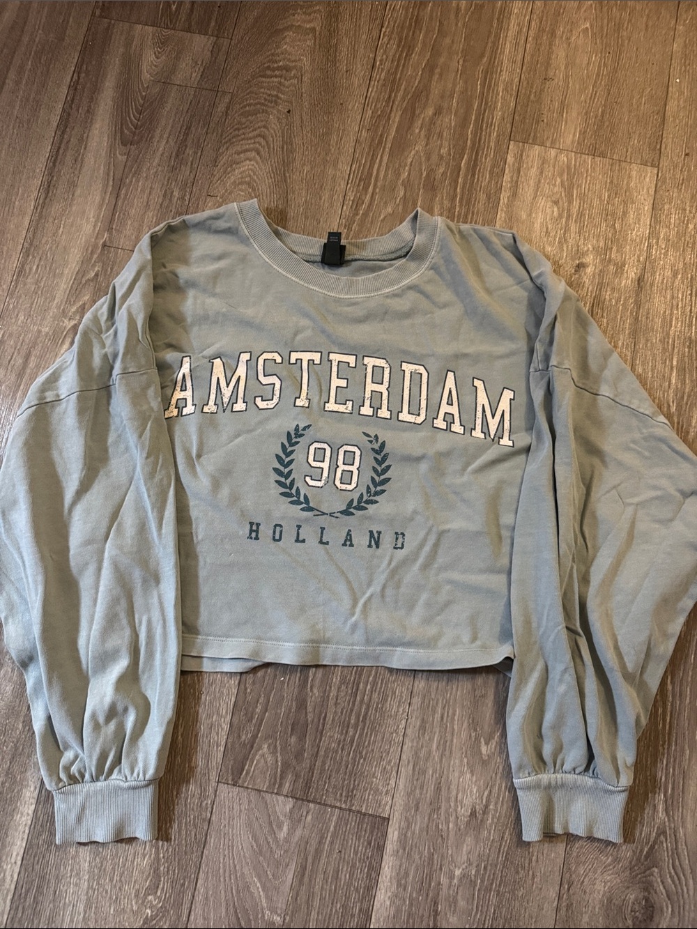 wild fable Light Sage Green "Amsterdam 98 Holland" Long Sleeve Tee